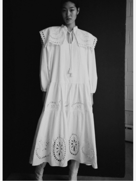 Sea New York Dresses & Skirts - NWT Sea New York Santos eyelet dress size s lace collar